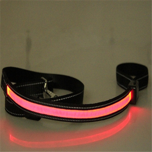 Collare fluorescente LED