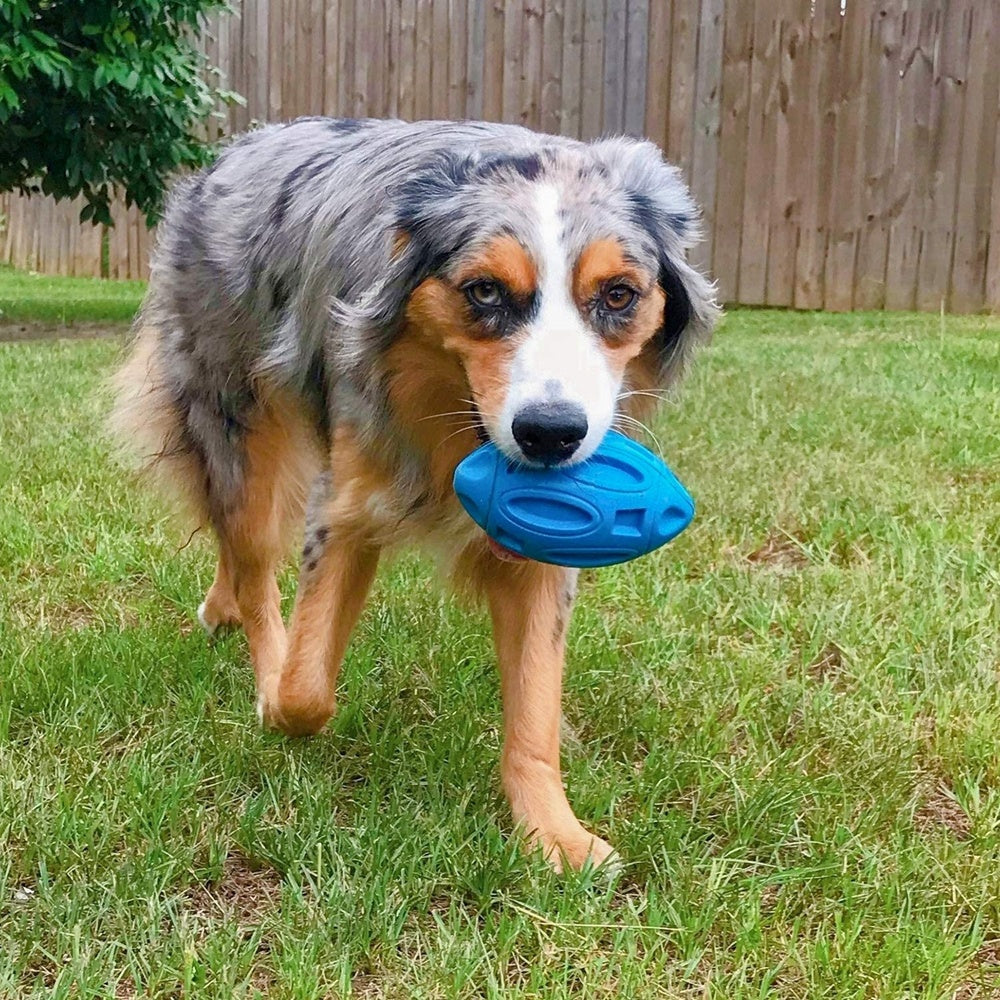 Palla da rugby in gomma per cani