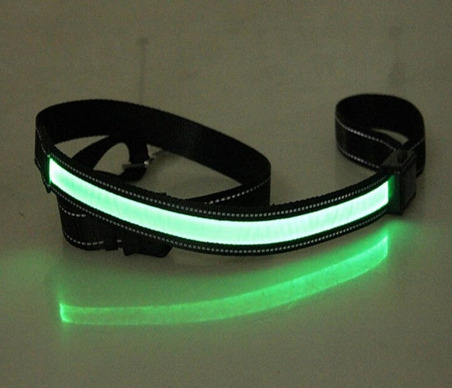 Collare fluorescente LED