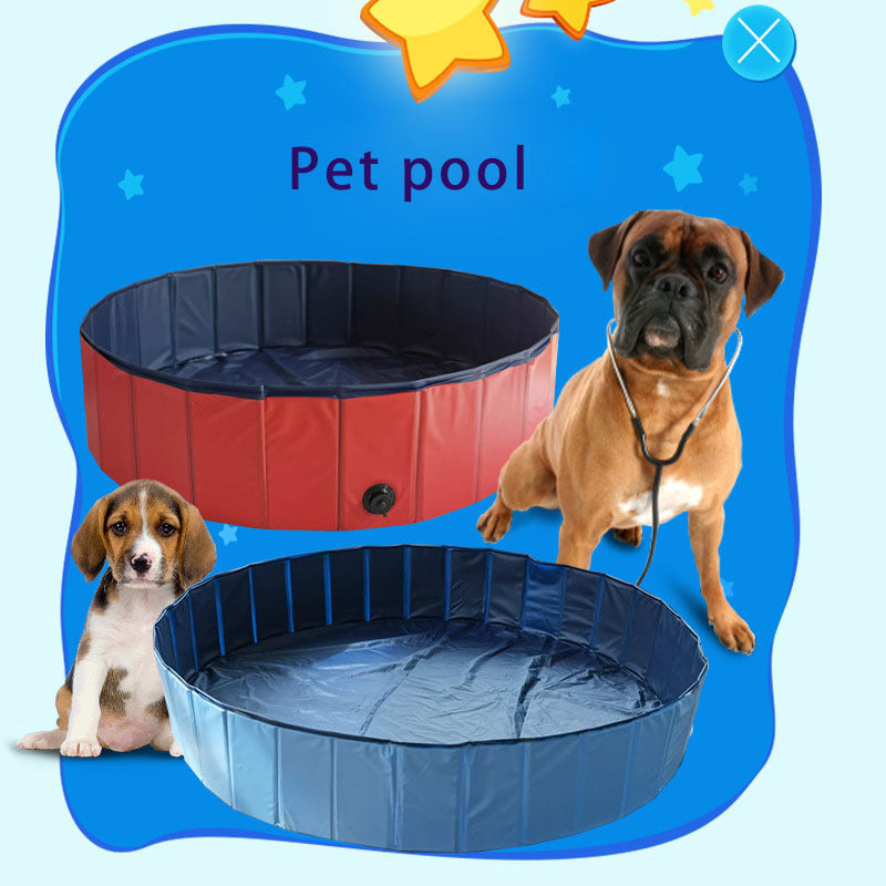 Piscina per cani