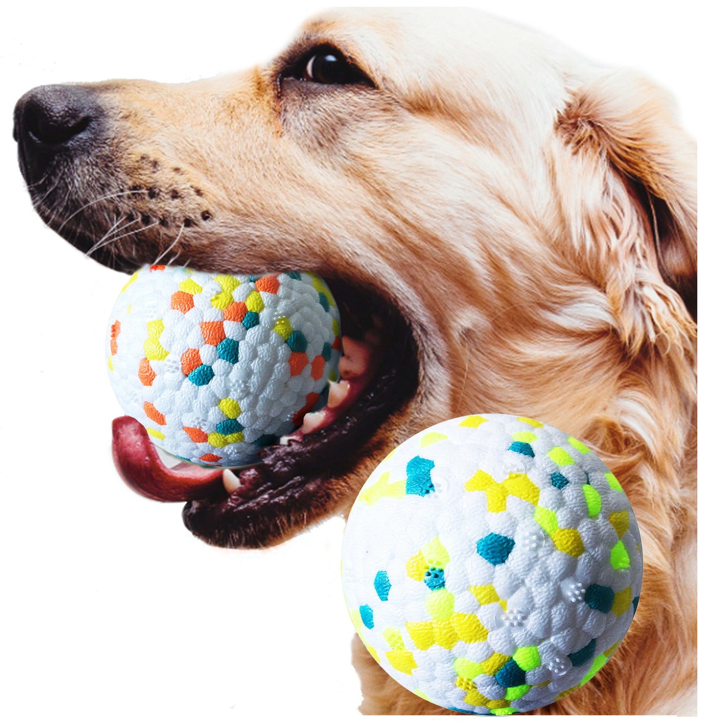 Training pet ball