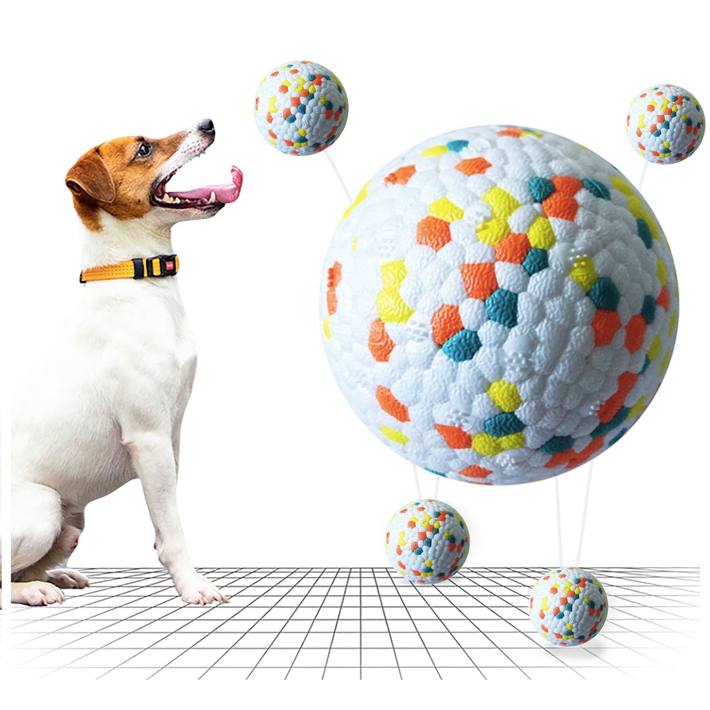 Training pet ball