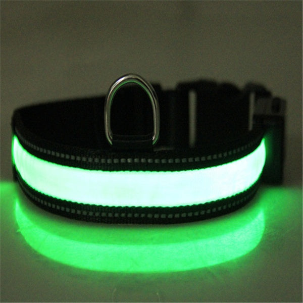 Collare fluorescente LED