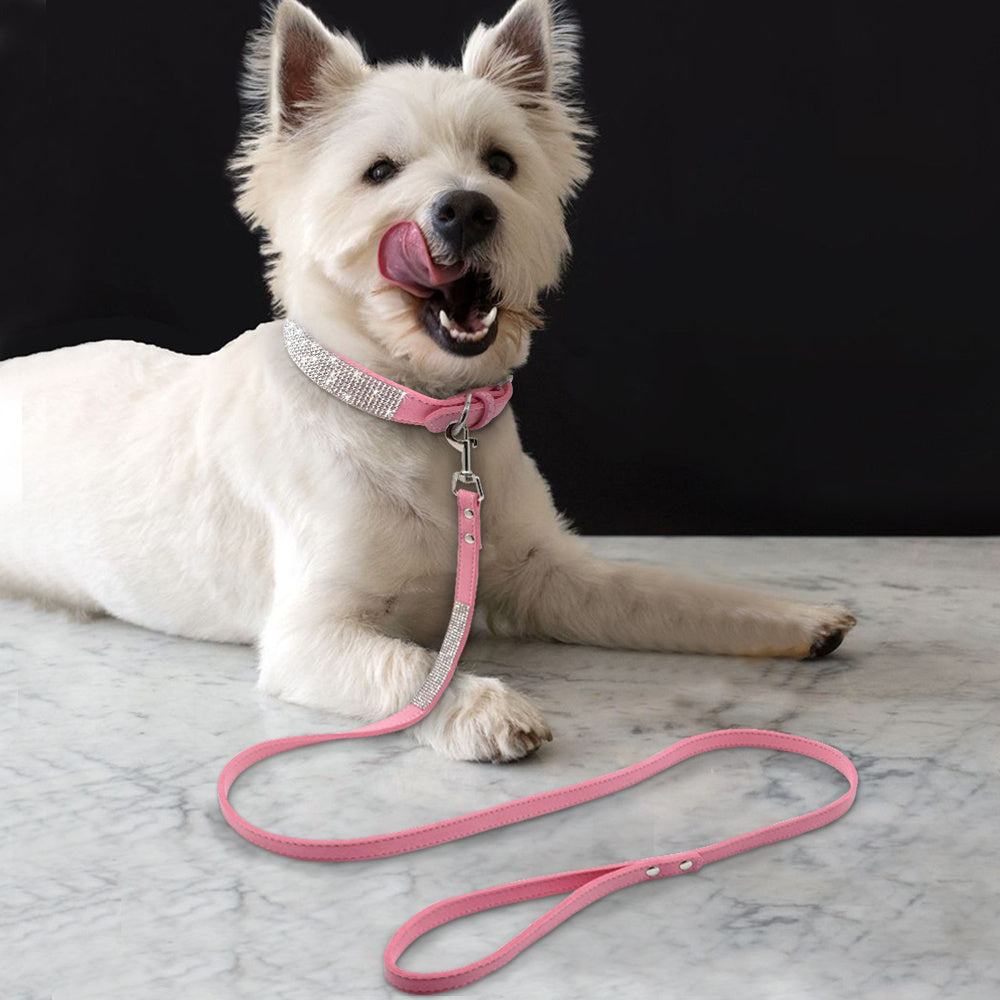 Collare con piccoli diamanti per cane