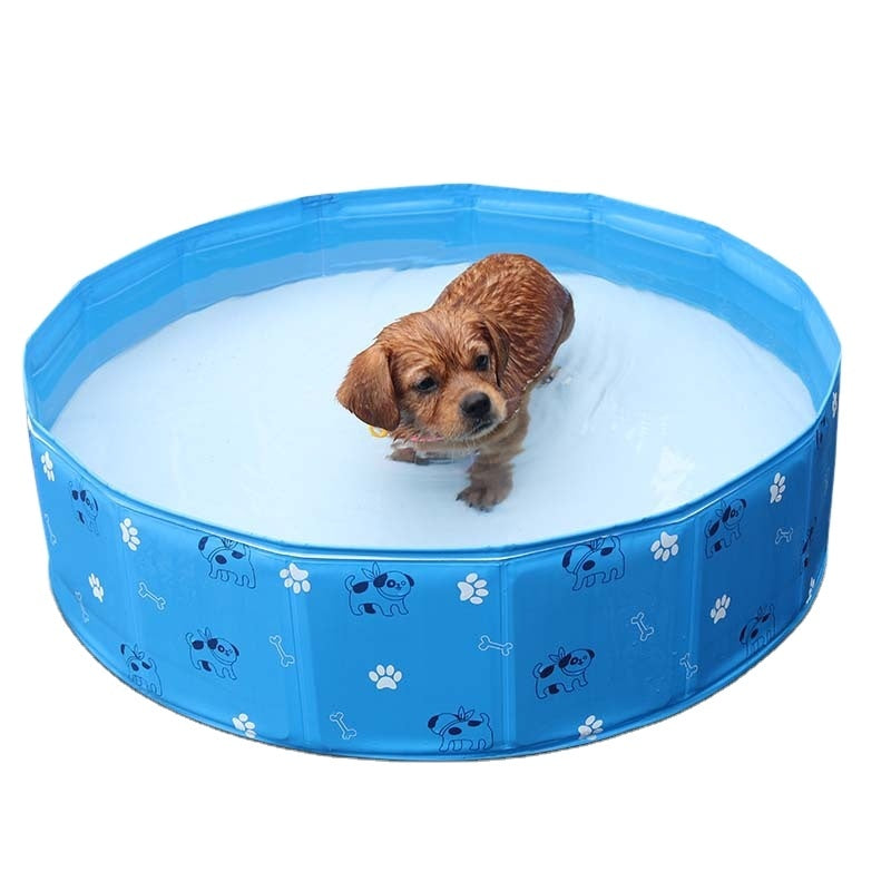 Piscina per cani pieghevole