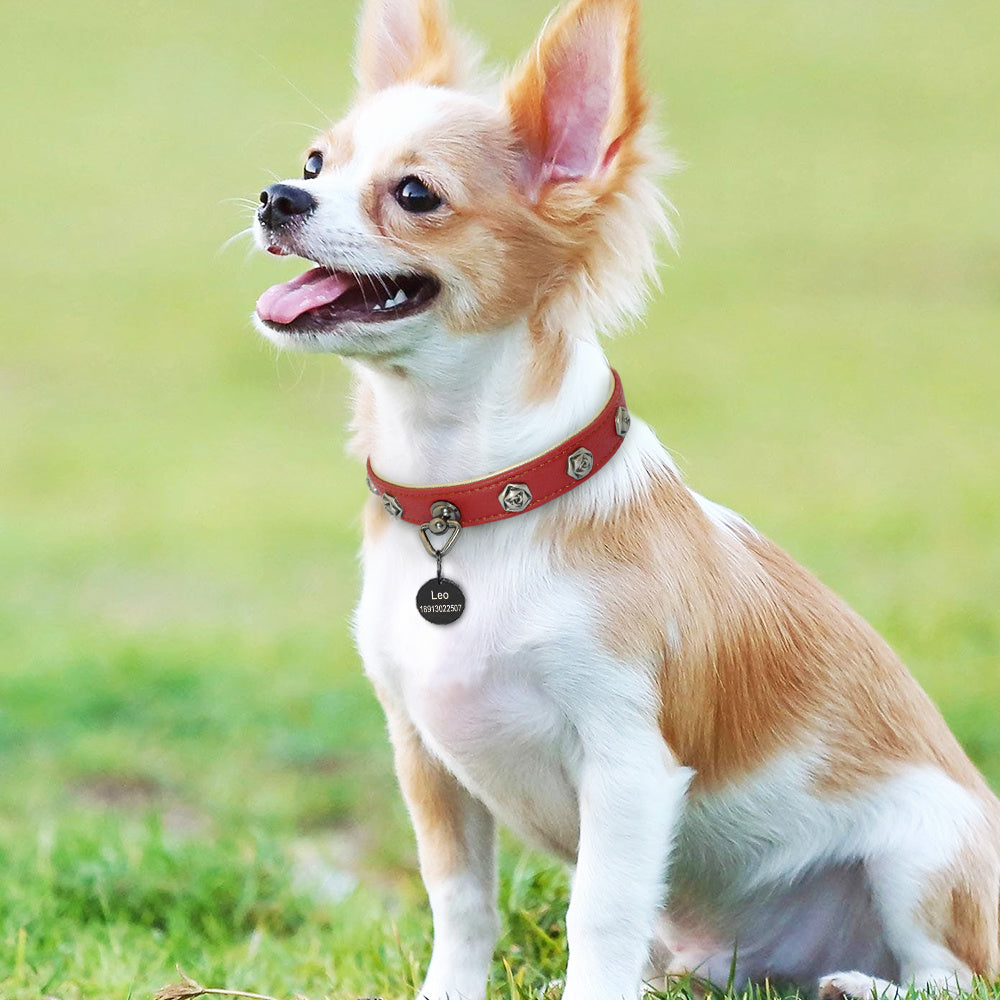 Collare in pelle ricamato per cani