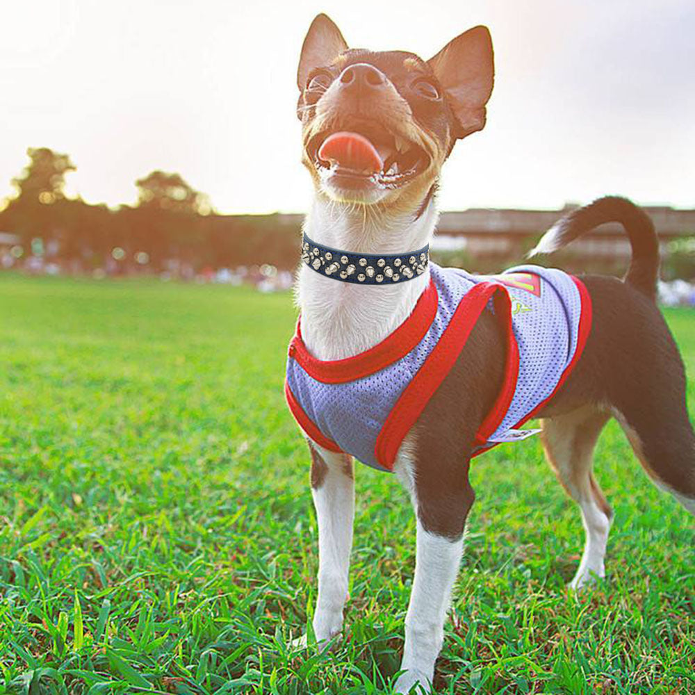 Collare per animali domestici con cinturino