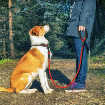 Guinzaglio a trazione in cotone per cani