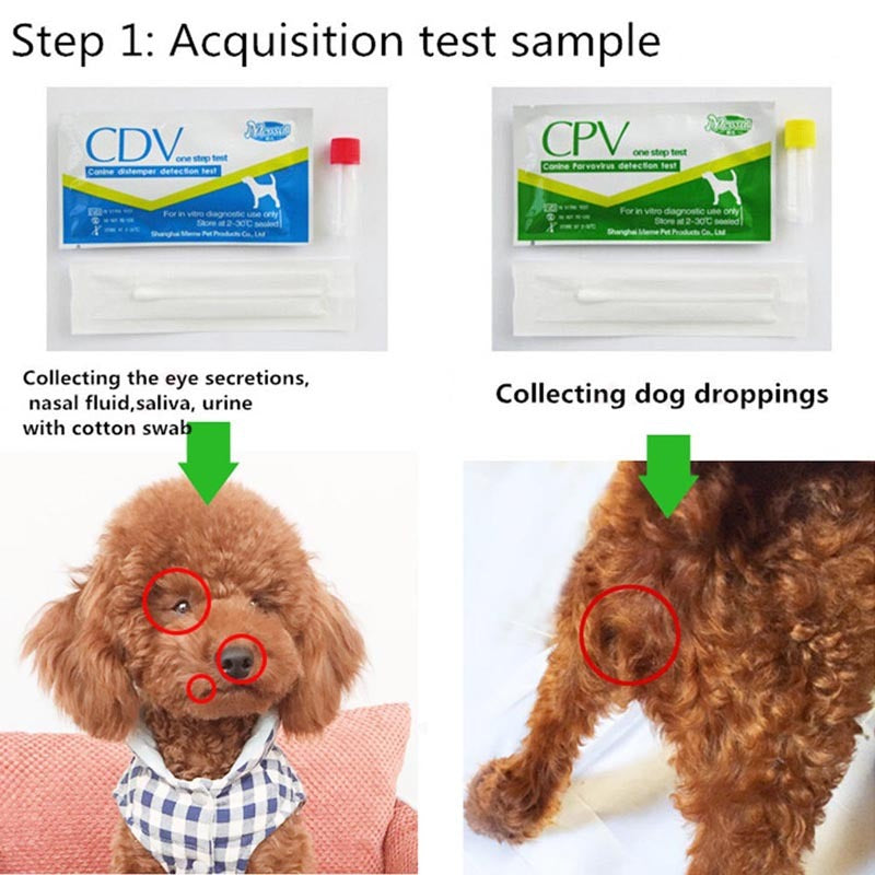 Pet CDV / CPV test