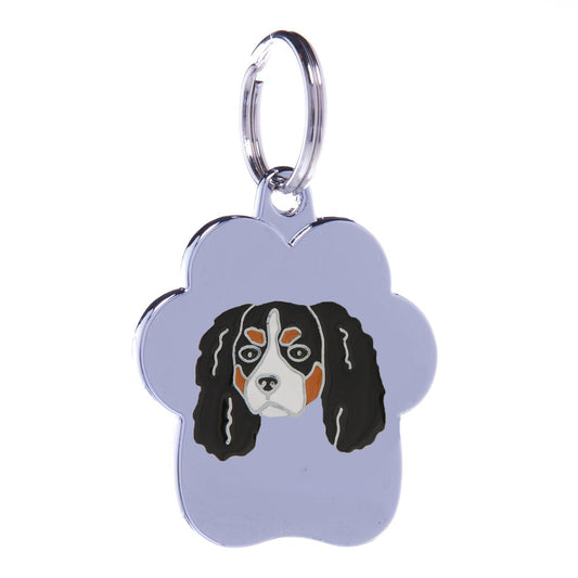 Petitamis CAVALIER KING TAN TRICOLORE