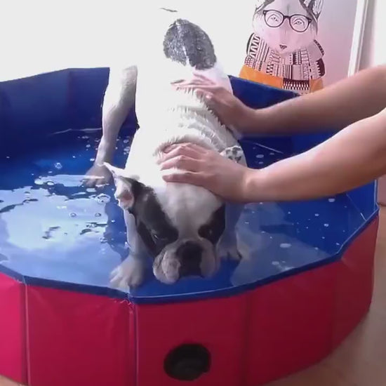 Portable Pet Pool Foldable Dog